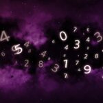 3381012544